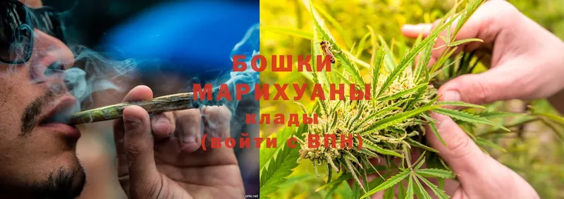 Бошки Шишки THC 21%  закладка  кракен   Лаишево 